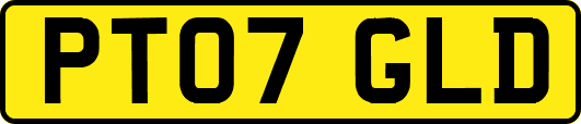 PT07GLD