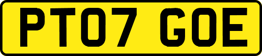 PT07GOE