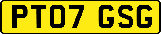 PT07GSG