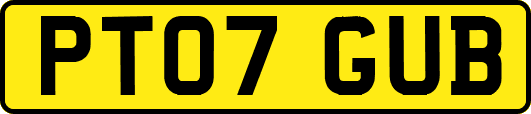 PT07GUB