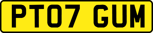 PT07GUM