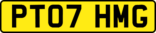 PT07HMG