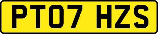 PT07HZS