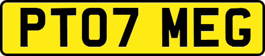 PT07MEG