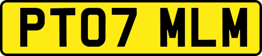 PT07MLM