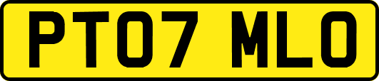 PT07MLO