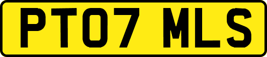 PT07MLS