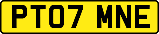 PT07MNE