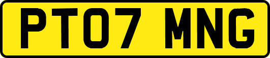 PT07MNG