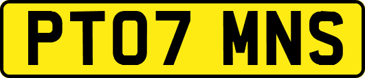PT07MNS