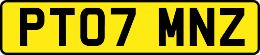 PT07MNZ