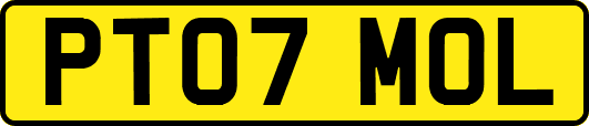 PT07MOL