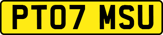 PT07MSU