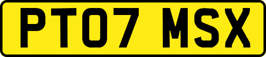 PT07MSX
