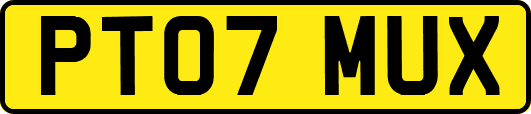 PT07MUX