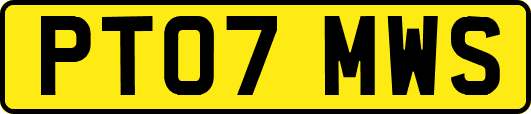 PT07MWS