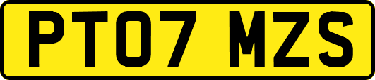 PT07MZS