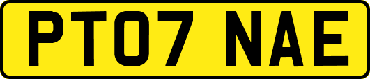 PT07NAE
