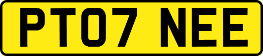 PT07NEE