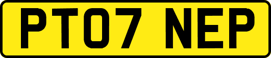PT07NEP