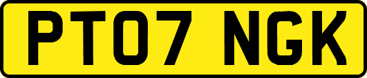 PT07NGK