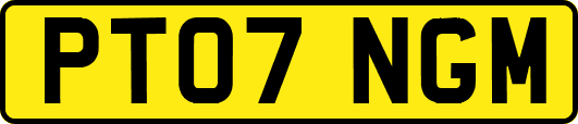 PT07NGM