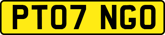 PT07NGO