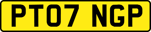 PT07NGP