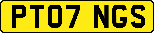 PT07NGS