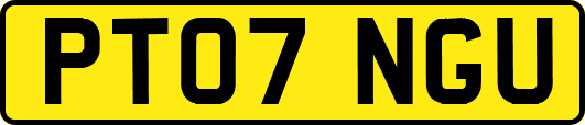 PT07NGU
