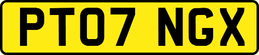 PT07NGX