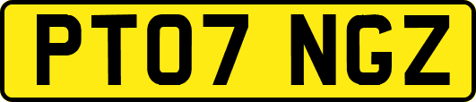 PT07NGZ