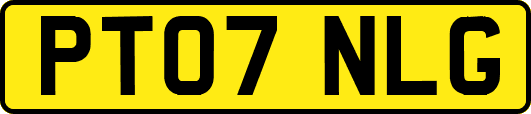 PT07NLG