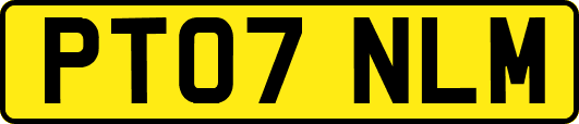 PT07NLM
