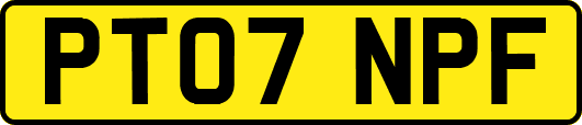 PT07NPF