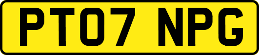 PT07NPG
