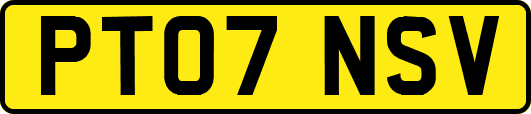 PT07NSV