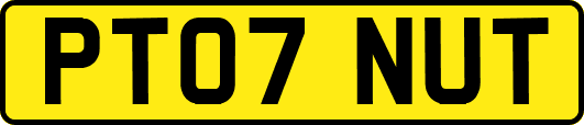 PT07NUT