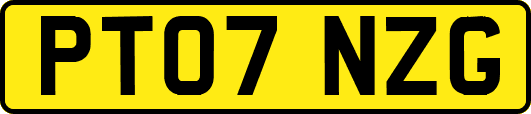 PT07NZG