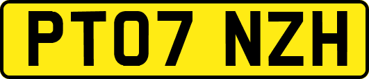 PT07NZH
