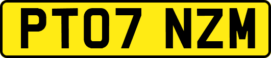 PT07NZM