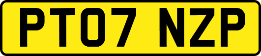 PT07NZP
