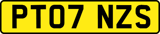PT07NZS