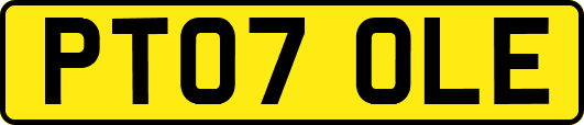 PT07OLE