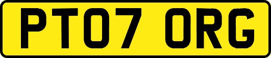 PT07ORG
