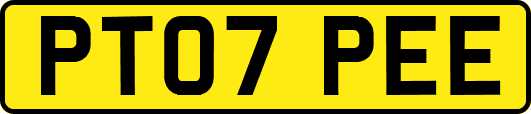 PT07PEE