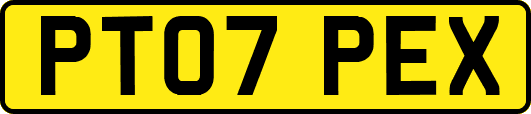 PT07PEX