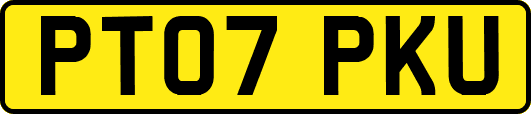 PT07PKU
