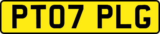 PT07PLG