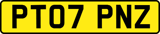 PT07PNZ